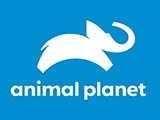 Смотреть Animal Planet