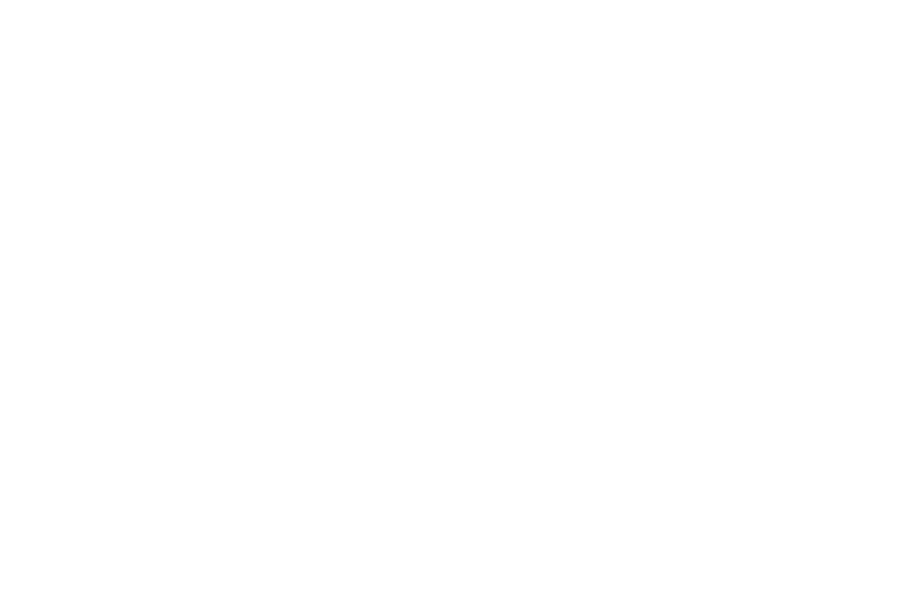Логотип Аист