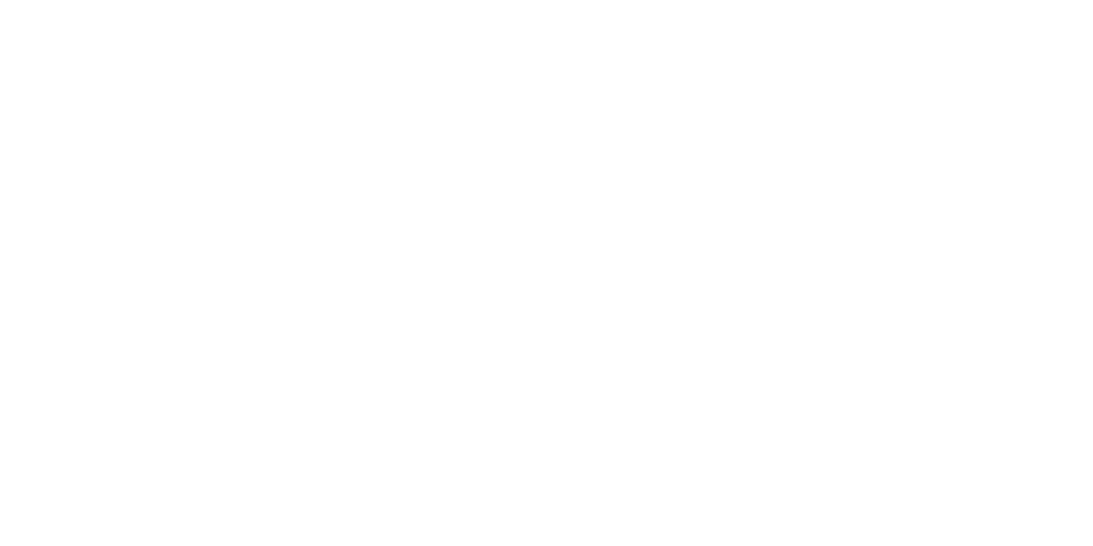 Логотип HD Media