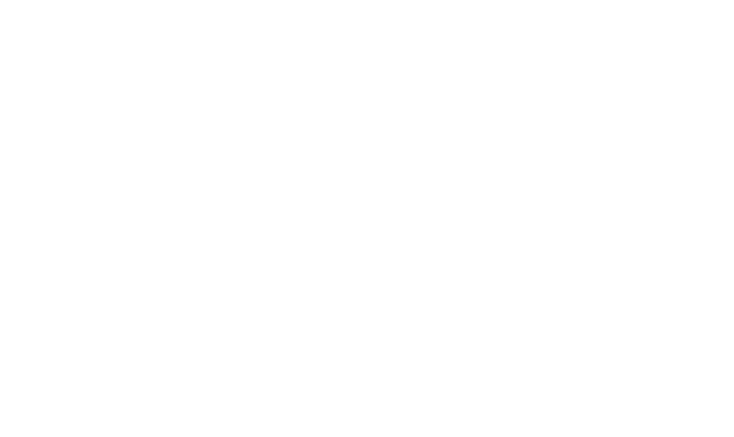 Логотип Nickelodeon Россия