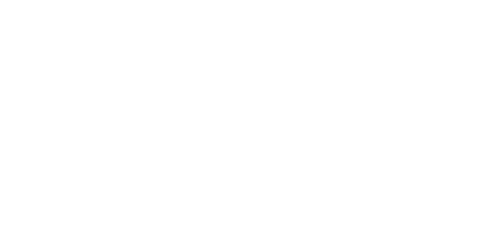 Логотип Перпетуум Мобиле