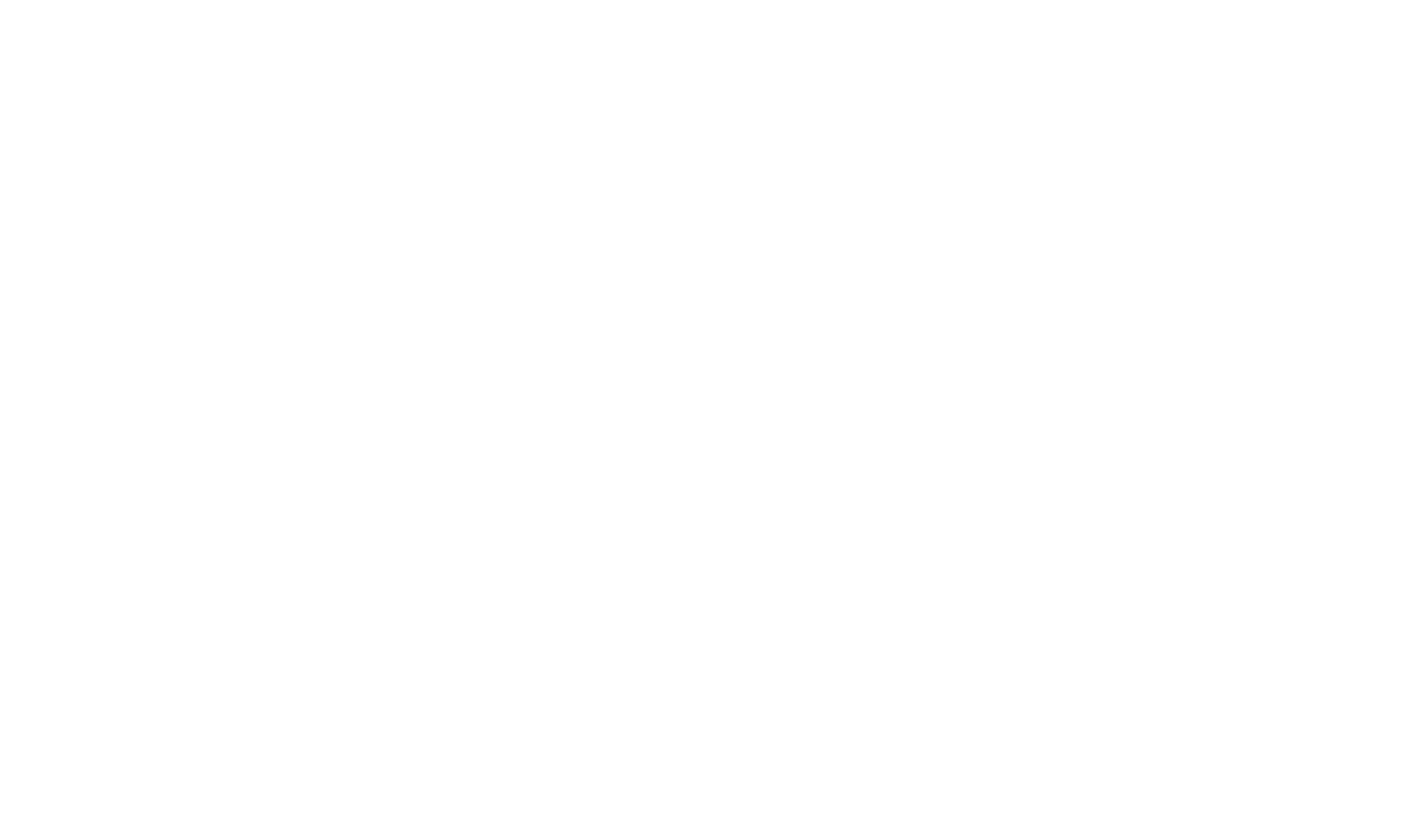 Логотип Северное сияние