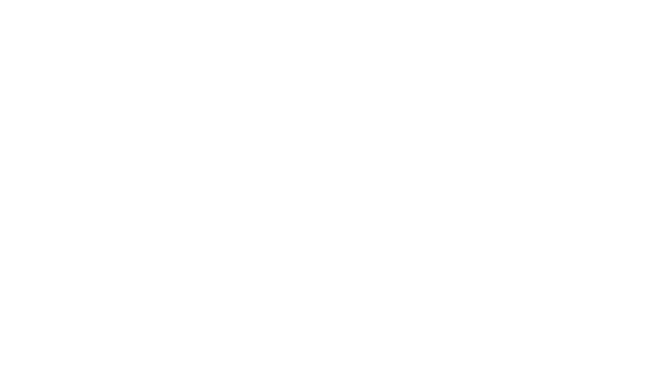 Логотип СТС Love