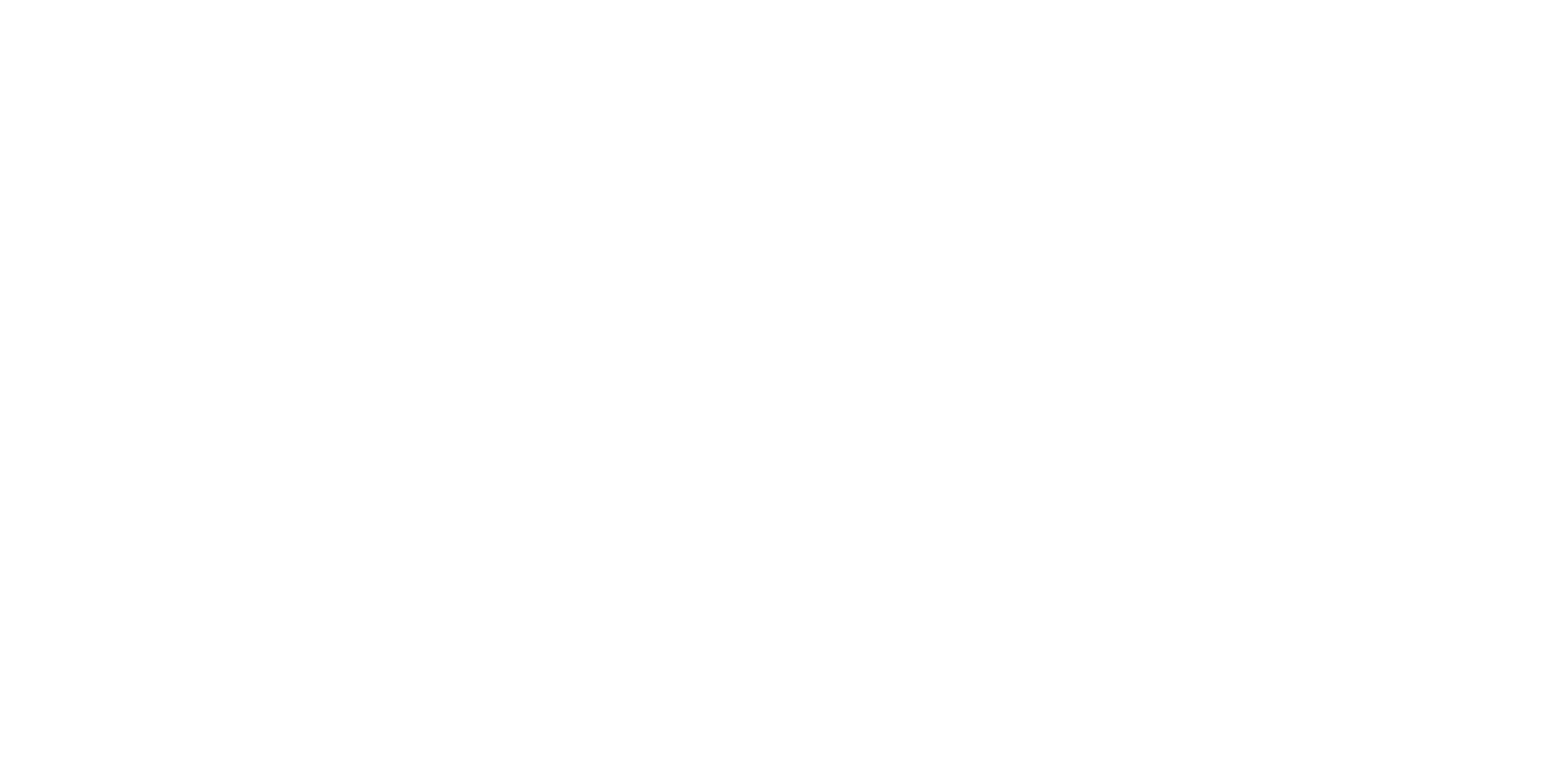 Логотип TOP SECRET