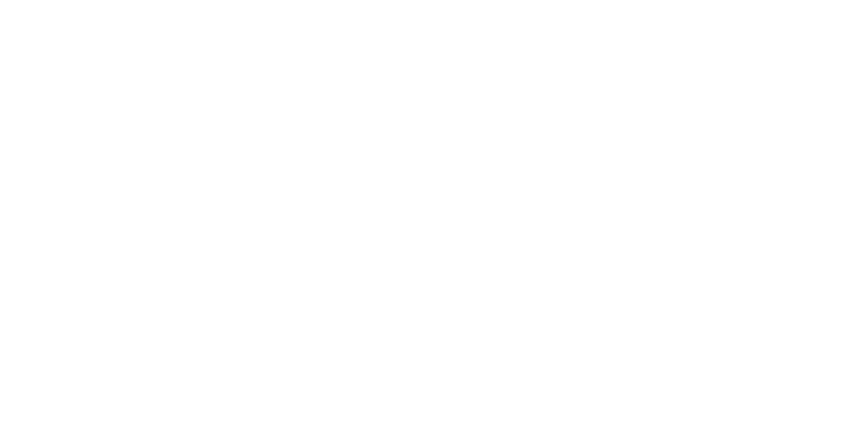 Логотип XFC TV Fightworld