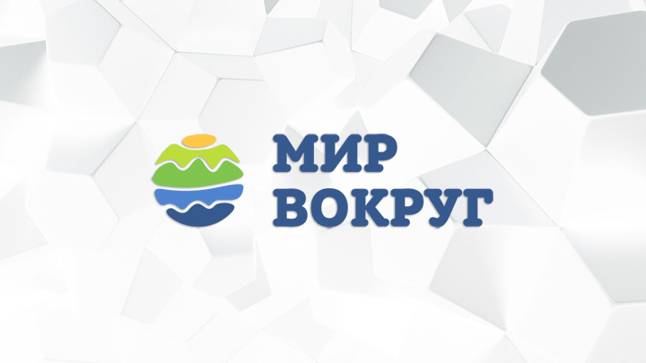 Мир вокруг — смотреть онлайн прямой эфир