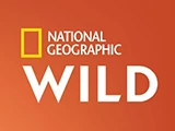 Смотреть National Geographic