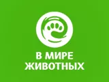 Смотреть В мире животных
